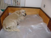 těsně před porodem