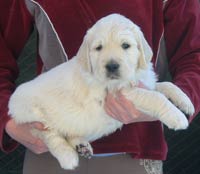 Eliáš Z Říčanských luk